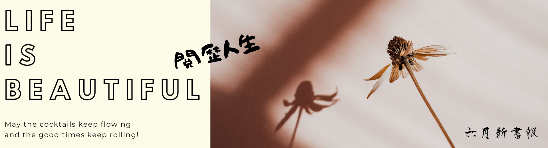 6月新書報
